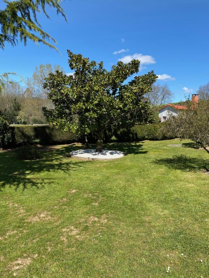 Apartmán A Finca Do Rio Vello Arzúa Exteriér fotografie